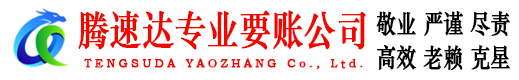 瑞安收账公司